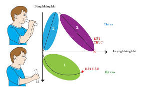 36-1 Ba bước thực hiện đo hô hấp ký