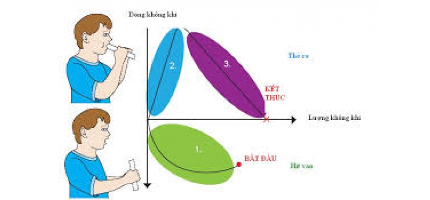 Đo hô hấp ký dùng để làm gì?