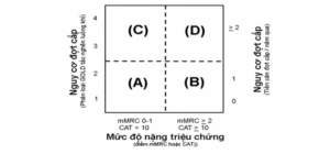 Phân độ bệnh phổi tắc nghẽn mạn tính