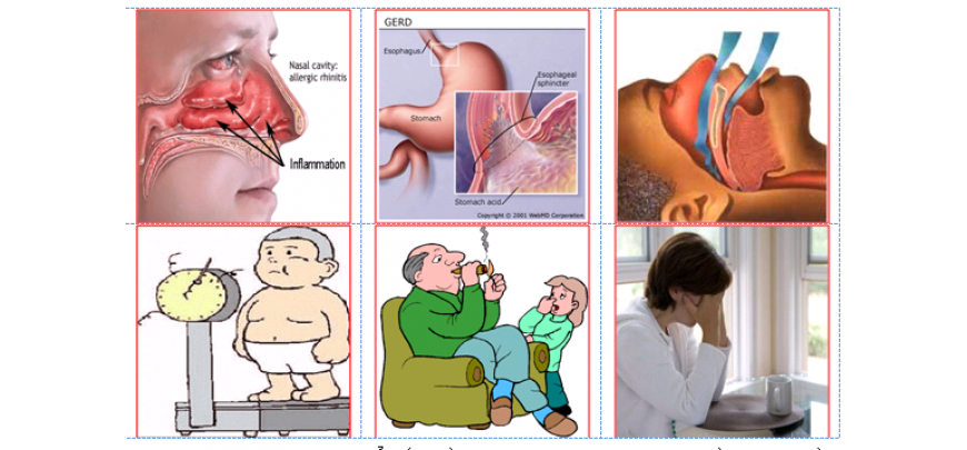 Cá thể hóa điều trị hen suyễn