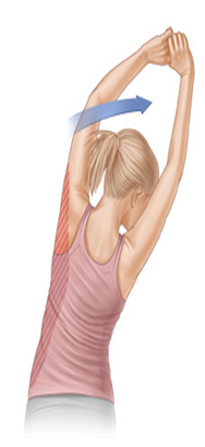 cang-co-lung-rong Căng cơ lưng rộng