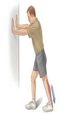 cang-co-tu-dui Căng cơ tứ đầu đùi