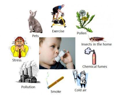 Các yếu tố gây hen trẻ em